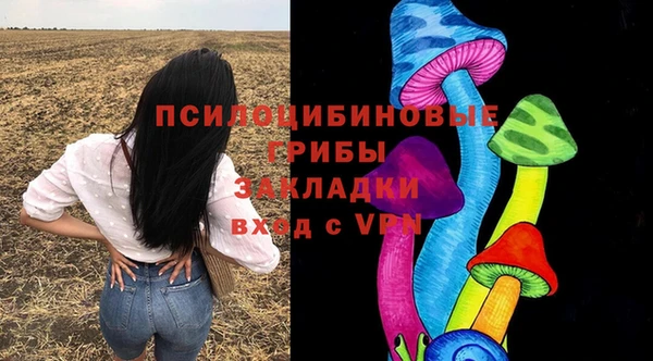 ПСИЛОЦИБИНОВЫЕ ГРИБЫ Нягань