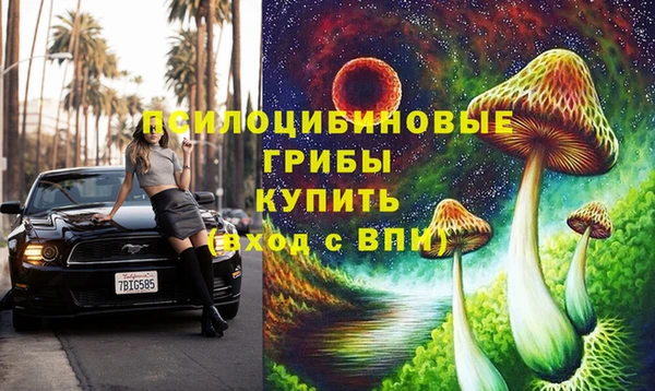 2c-b Абдулино