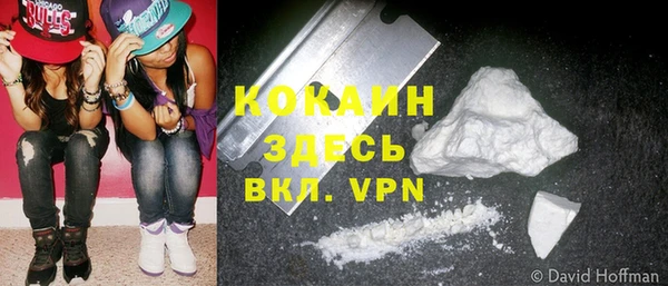 экстази Няндома